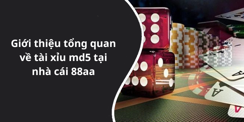 Giới thiệu tổng quan về tài xỉu md5 tại nhà cái 88aa