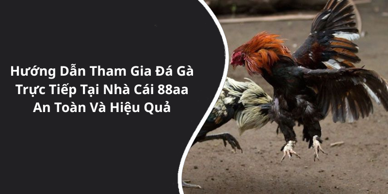 Hướng Dẫn Tham Gia Đá Gà Trực Tiếp Tại Nhà Cái 88aa An Toàn Và Hiệu Quả