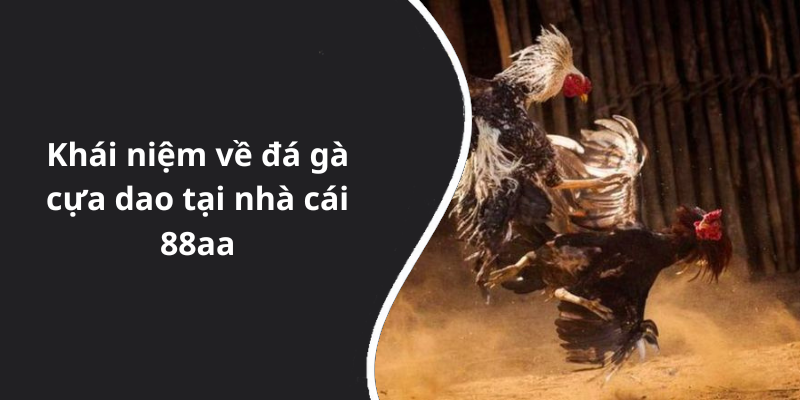 Khái niệm về đá gà cựa dao tại nhà cái 88aa