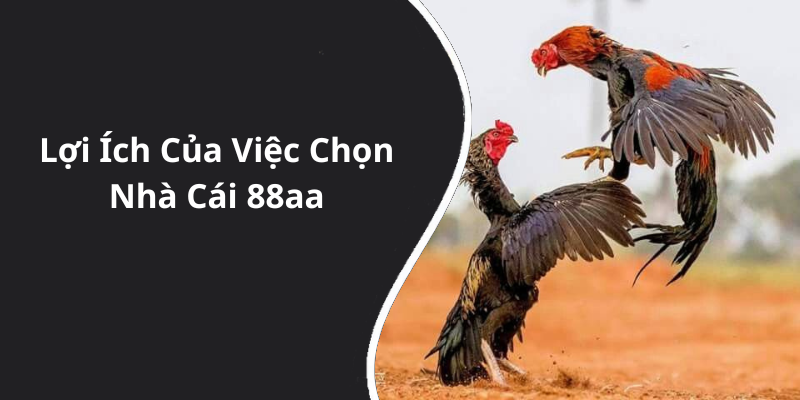 Lợi Ích Của Việc Chọn Nhà Cái 88aa