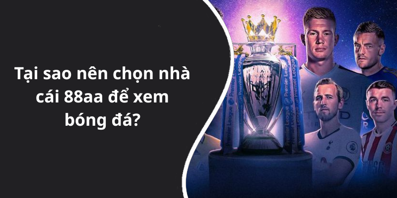 Tại sao nên chọn nhà cái 88aa để xem bóng đá